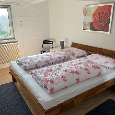 Gemuetliche Ferienwohnung Im Altbau Goslar Zewnętrze zdjęcie